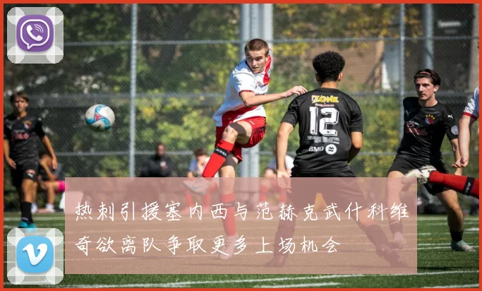 热刺引援塞内西与范赫克武什科维奇欲离队争取更多上场机会
